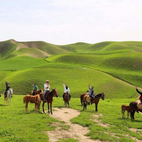 ترکمن صحرا