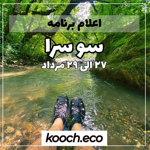 Sosra Forest Tour Koch Group